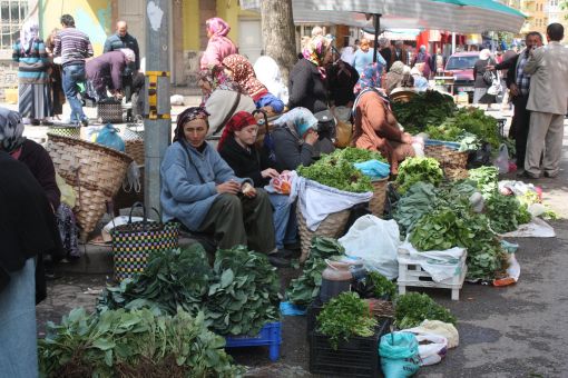  Karadeniz’de Geçim Kadınların Sırtında