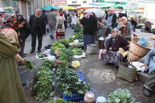  Karadeniz’de Geçim Kadınların Sırtında