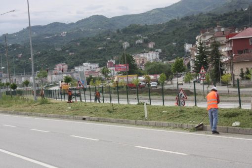 Görele Sahil Yolu Yabancı Otlardan Temizleniyor Görele Sahil Yolu Yabancı Otlardan Temizleniyor