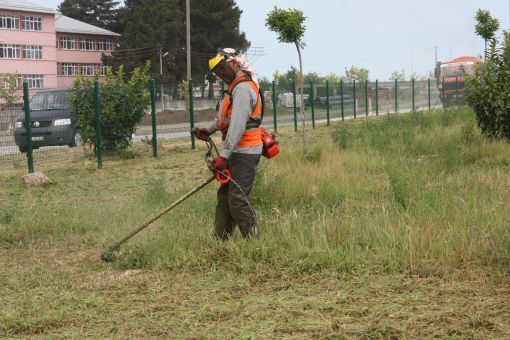 Görele Sahil Yolu Yabancı Otlardan Temizleniyor Görele Sahil Yolu Yabancı Otlardan Temizleniyor